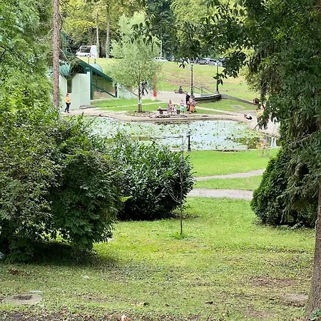 Filiaki *